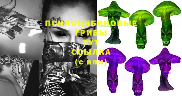 дживик Аркадак